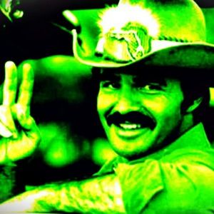 Meet your Posher, Bert